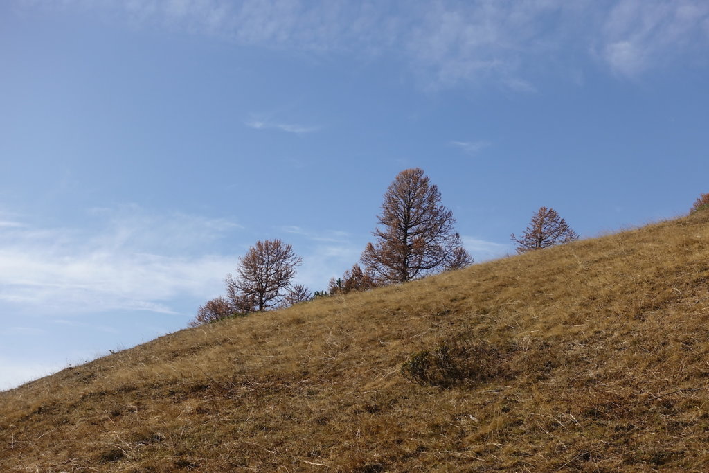 Ovronnaz: Odonne, Grande Garde, La Seya (07.11.2020)