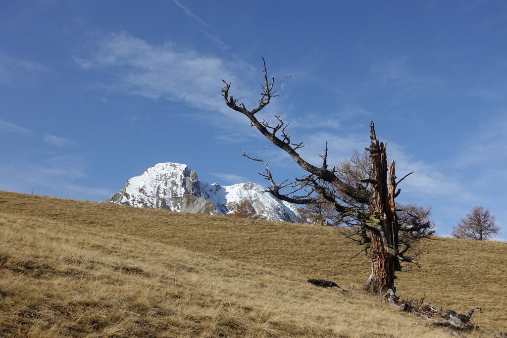 Ovronnaz: Odonne, Grande Garde, La Seya (07.11.2020)