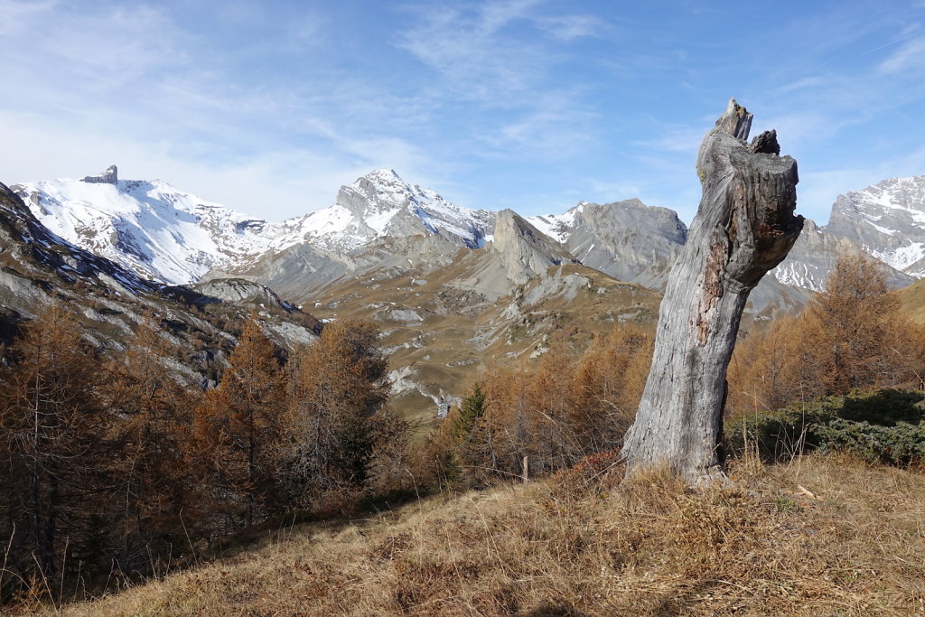 Ovronnaz: Odonne, Grande Garde, La Seya (07.11.2020)