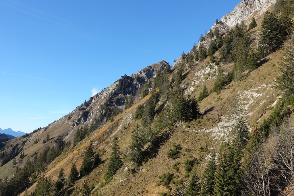 Le Moléson (14.11.2020)