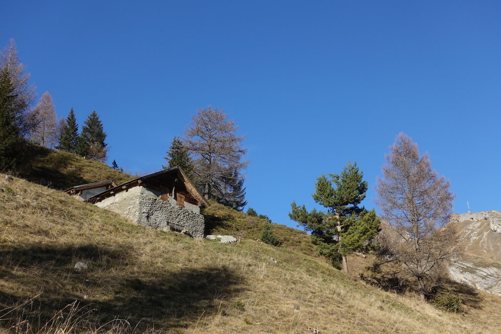 Incron, combe d'Arbaz (22.11.2020)