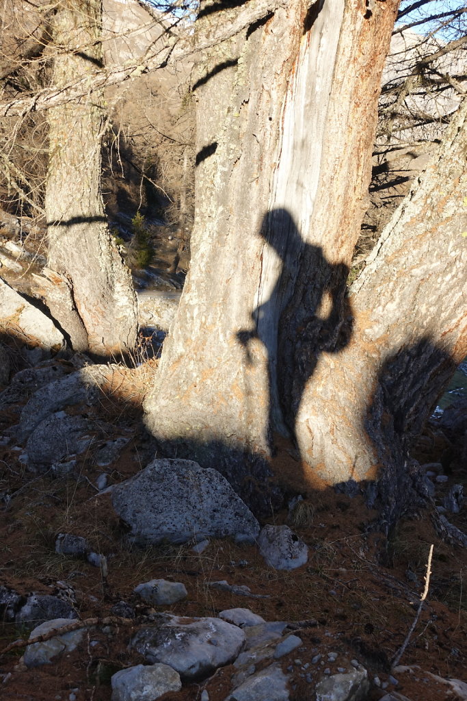 Mayens de My, Etang des Trente Pas, Croix de l'Achia (27.11.2020)