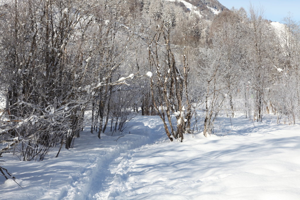 Evolène, Les Haudères (16.01.2021)