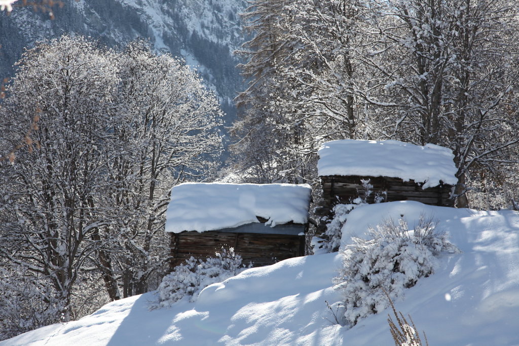 Evolène, Les Haudères (16.01.2021)