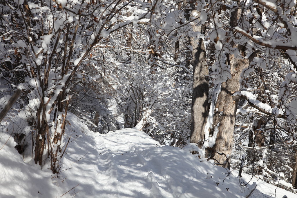 Evolène, Les Haudères (16.01.2021)