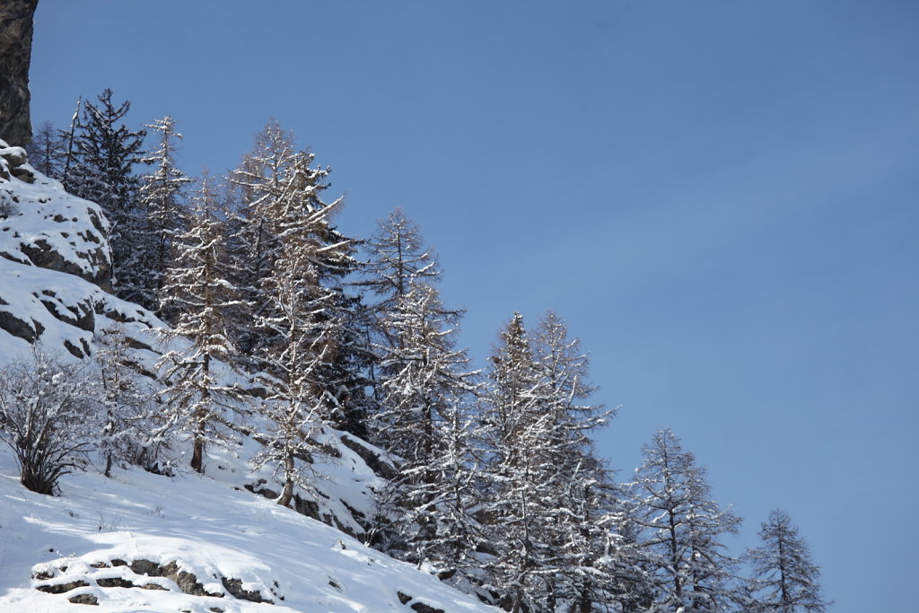 Evolène, Les Haudères (16.01.2021)