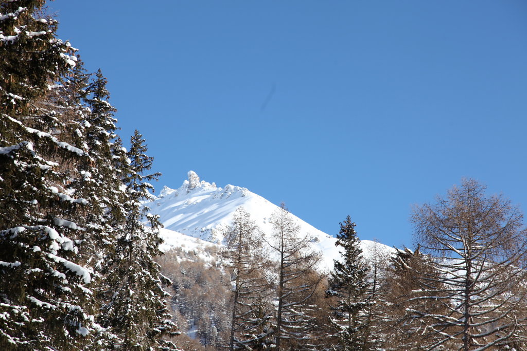 Suen (18.01.2021)