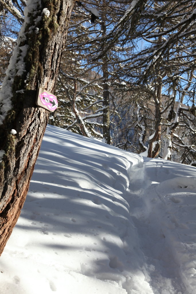 Suen (18.01.2021)