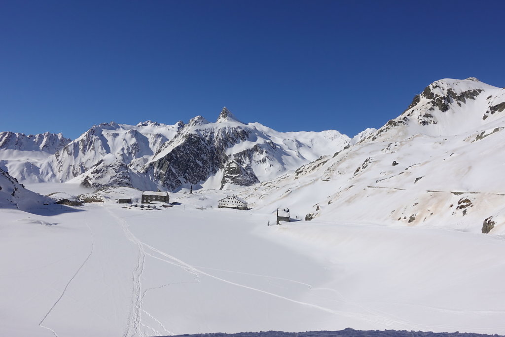 Hospice du St-Bernard (20.02.2021)