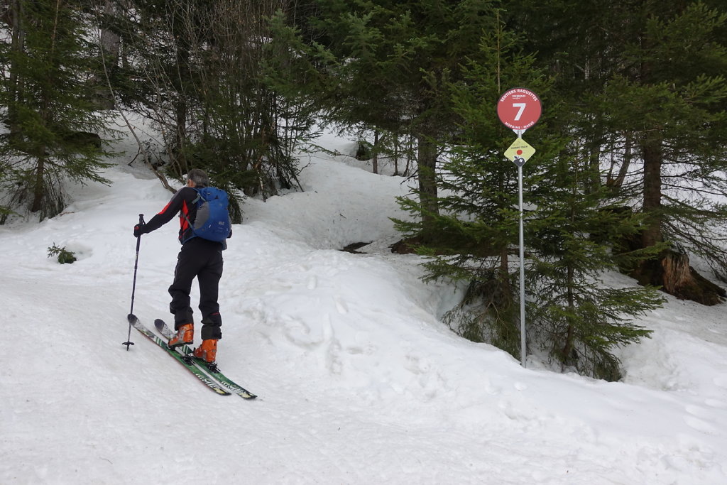 Rando-Parc Morgins (22.02.2021)