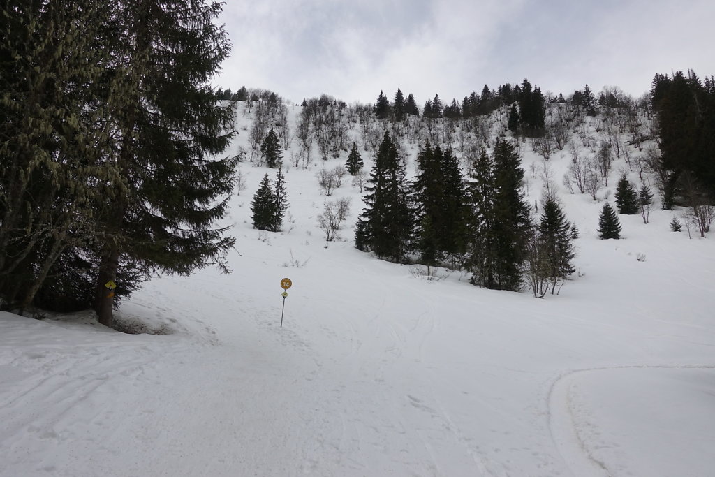 Rando-Parc Morgins (22.02.2021)