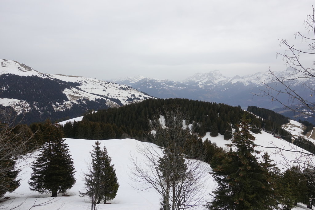 Rando-Parc Morgins (22.02.2021)