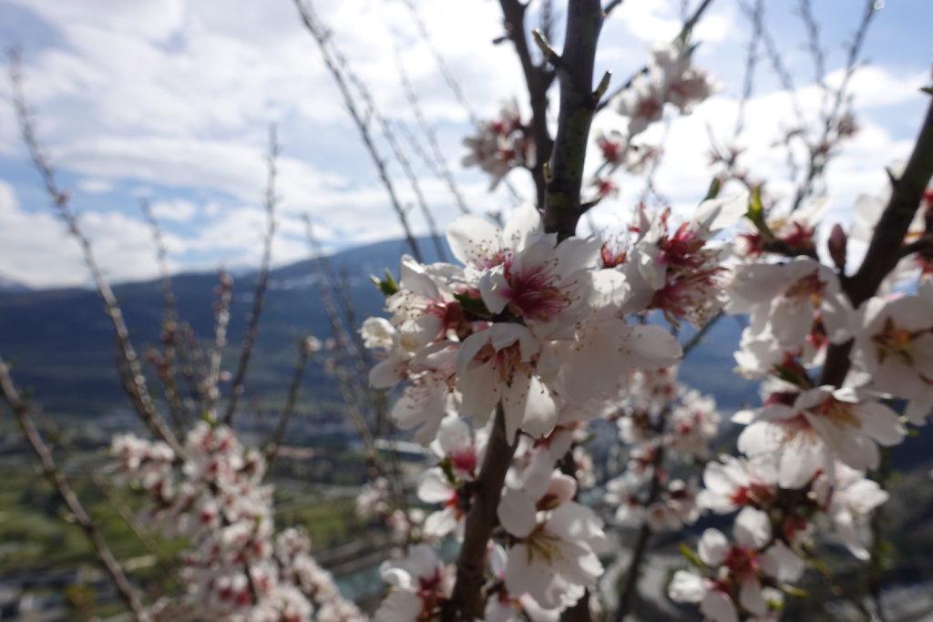 Bisse de Clavau (21.03.2021)