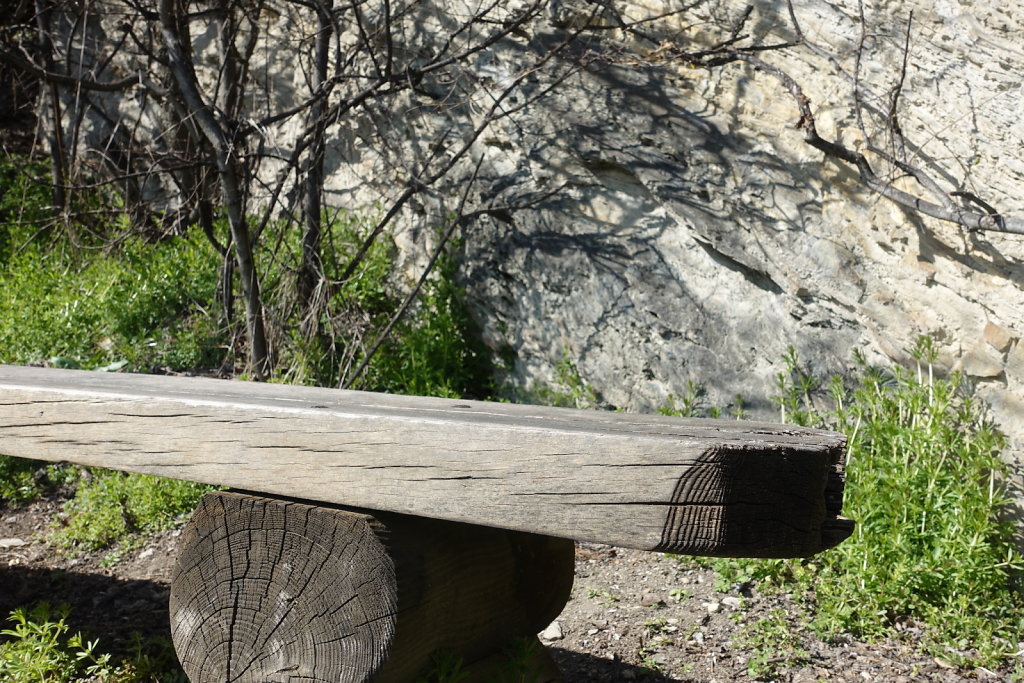 Bisse de Clavau (21.03.2021)