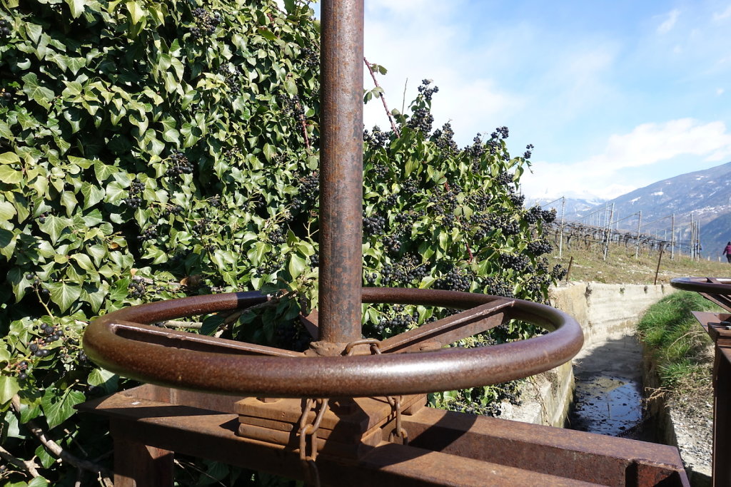 Bisse de Clavau (21.03.2021)