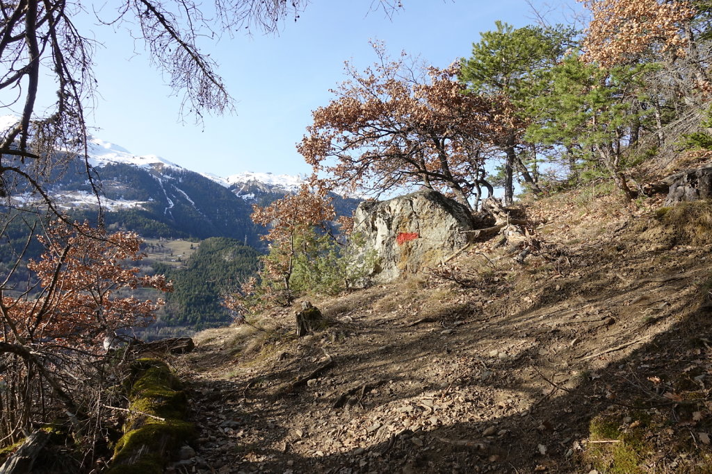 Chandolin - Etang du Binii (02.03.2021)