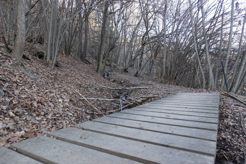 Etang Rocher - Mayens de la Zour (10.03.2021)