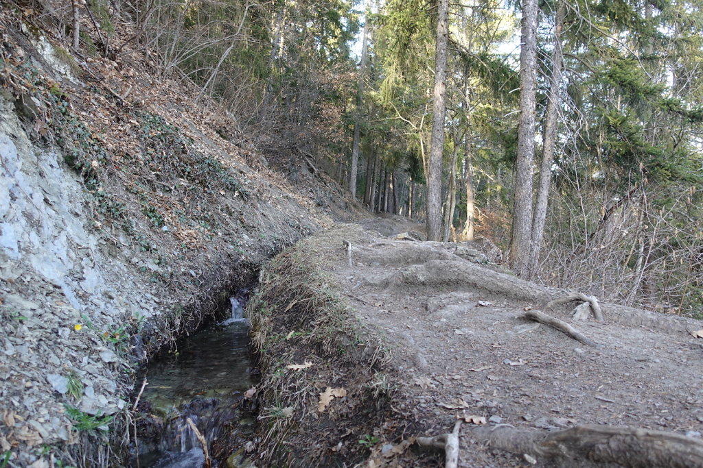 Etang Rocher - Mayens de la Zour (10.03.2021)