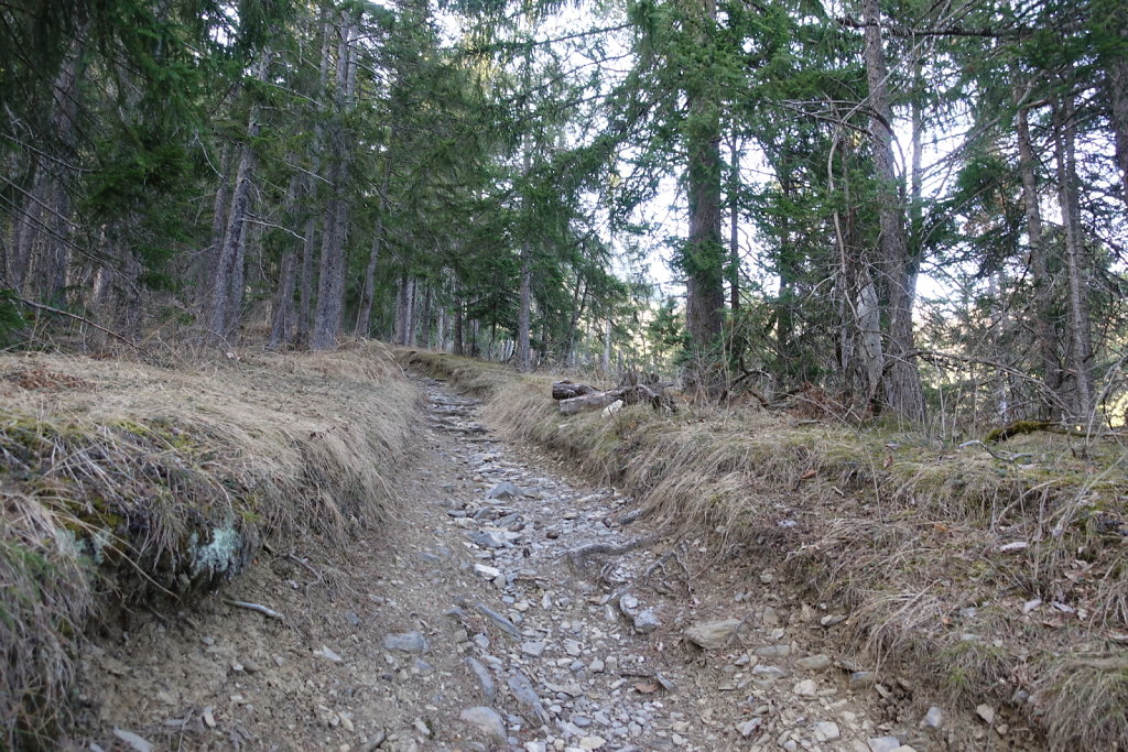 Etang Rocher - Mayens de la Zour (10.03.2021)