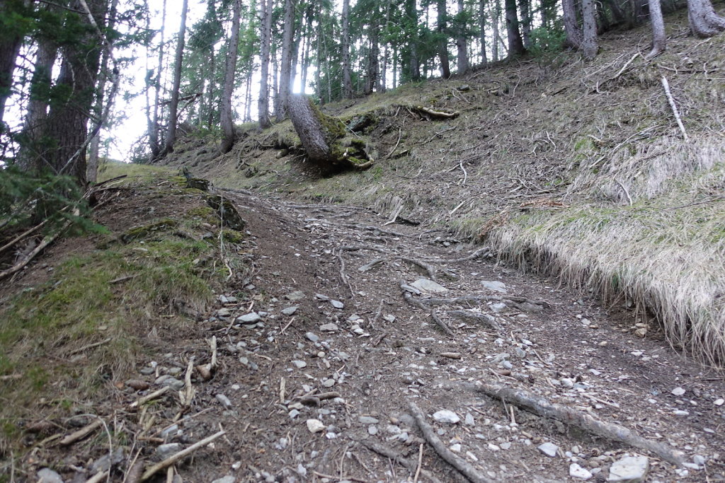 Etang Rocher - Mayens de la Zour (10.03.2021)