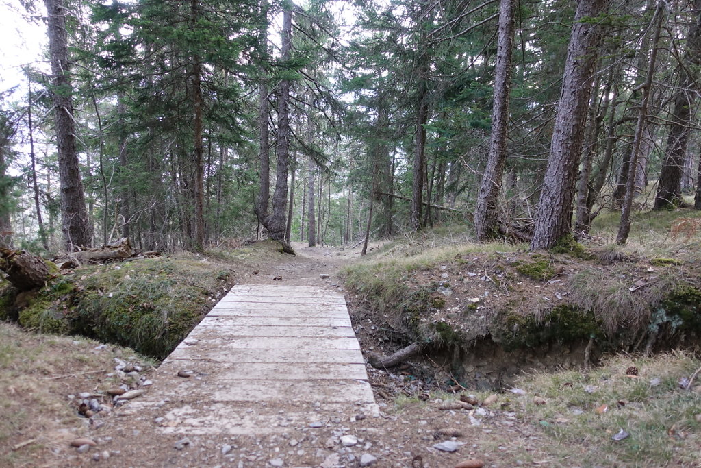 Etang Rocher - Mayens de la Zour (10.03.2021)