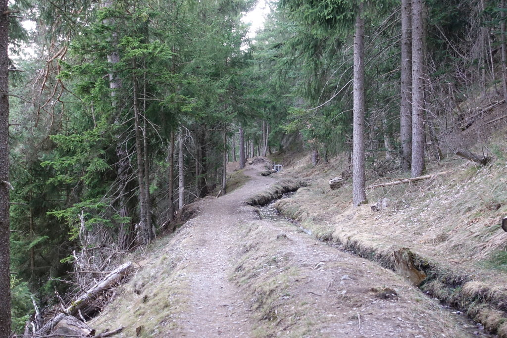 Etang Rocher - Mayens de la Zour (10.03.2021)