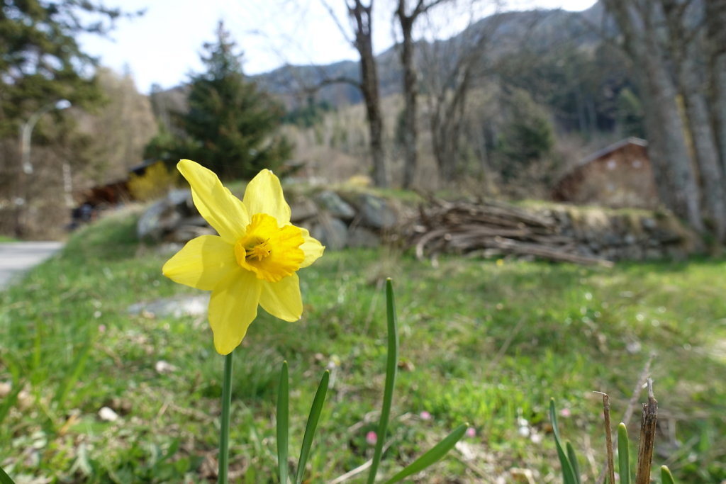 Dorénaz - Champex d'Allesse - La Giette (05.04.2021)