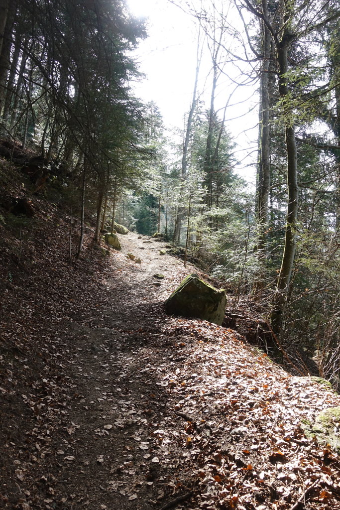 Dorénaz - Champex d'Allesse - La Giette (05.04.2021)