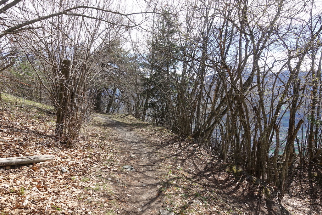 Aven - Sé du Pertuis (11.04.2021)