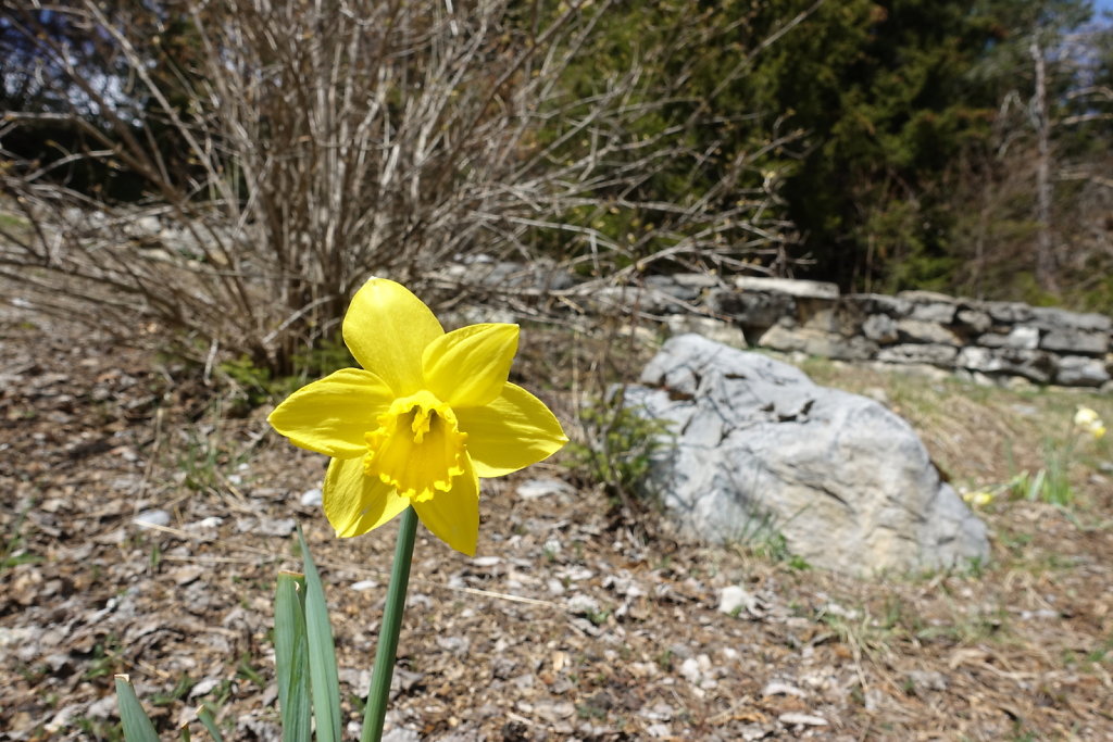 Aven - Sé du Pertuis (11.04.2021)