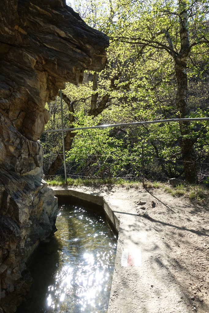 Niedergesteln, Rarnerchumma, Raron (24.04.2021)