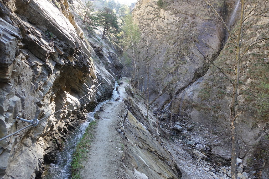 Niedergesteln, Rarnerchumma, Raron (24.04.2021)