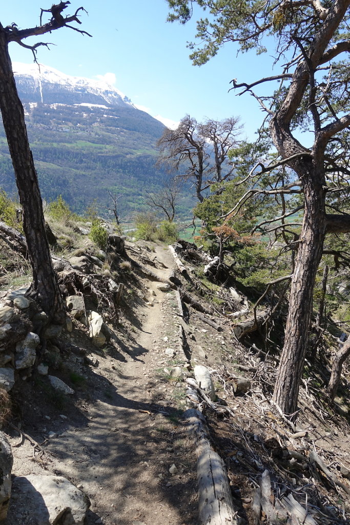 Niedergesteln, Rarnerchumma, Raron (24.04.2021)