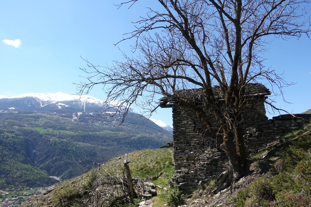 Niedergesteln, Rarnerchumma, Raron (24.04.2021)