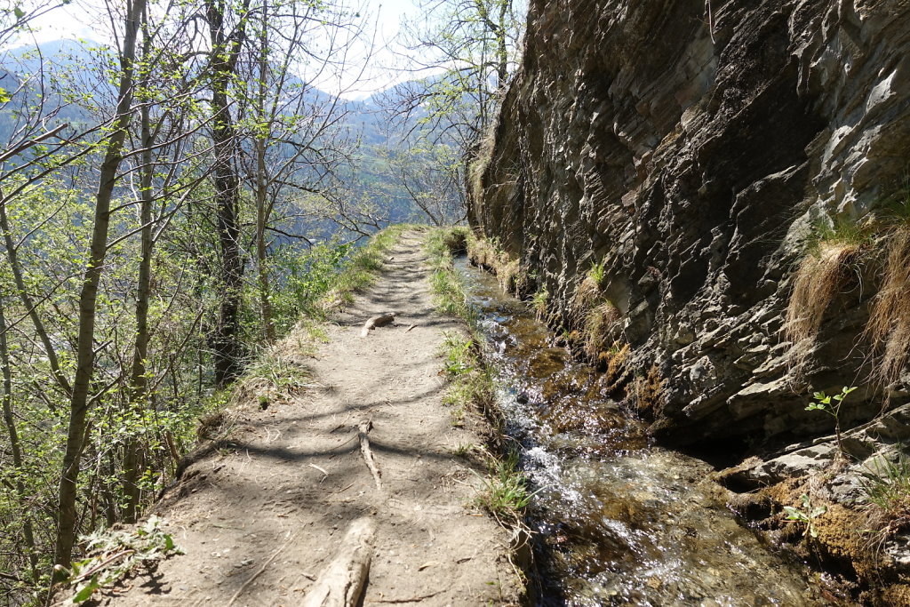 Niedergesteln, Rarnerchumma, Raron (24.04.2021)