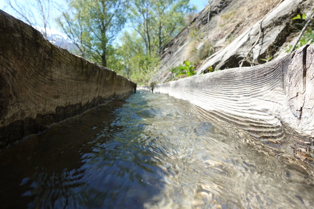 Niedergesteln, Rarnerchumma, Raron (24.04.2021)