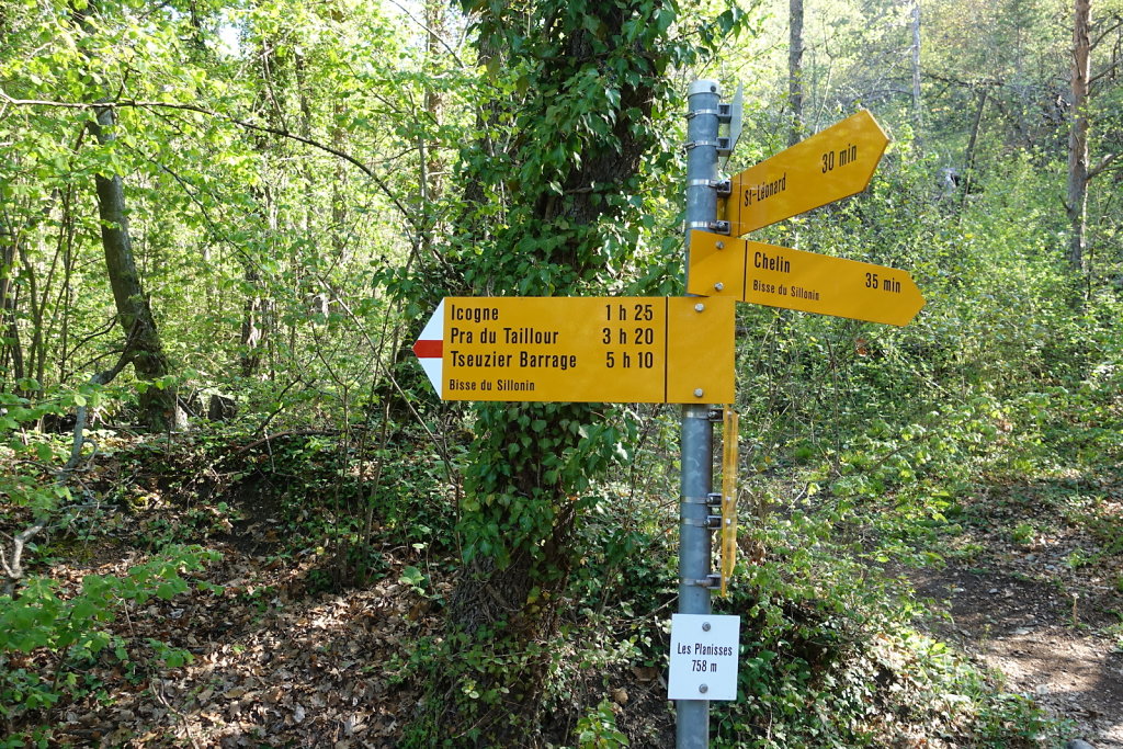 Les Planisses, Bisse du Sillonin, Icogne, Lens, Christ-Roi, Grand Bisse de Lens, Chelin, Bisse du Sillonin (03.05.2021)