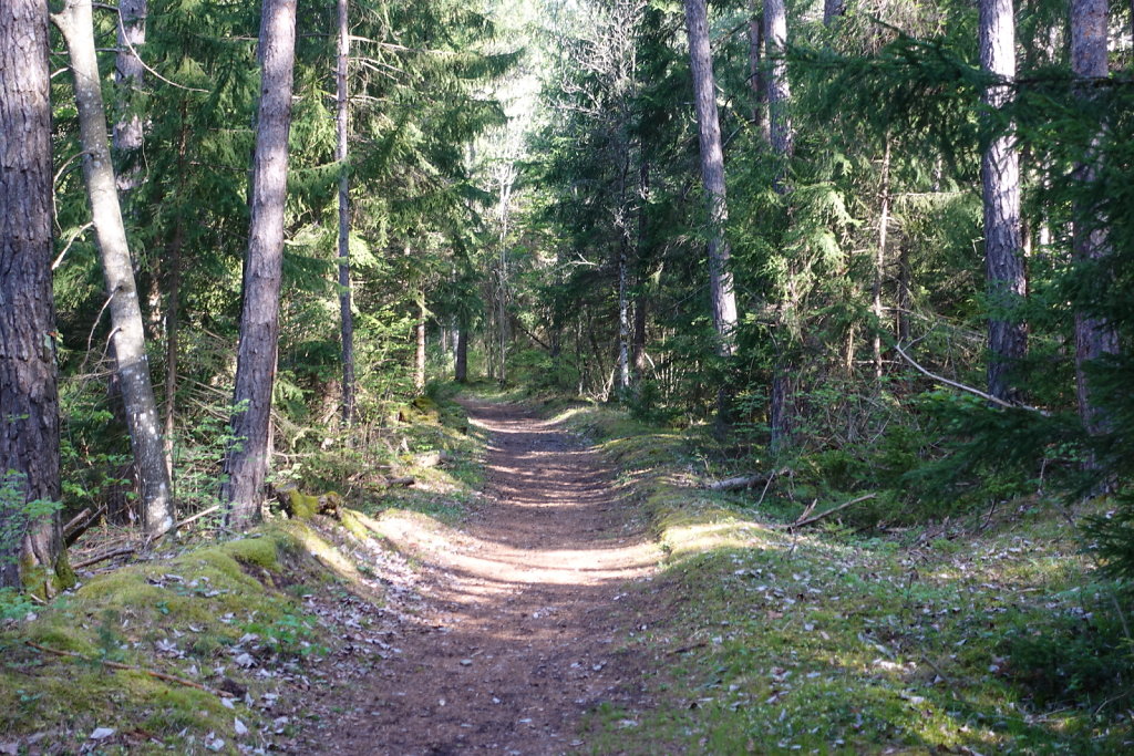 Les Planisses, Bisse du Sillonin, Icogne, Lens, Christ-Roi, Grand Bisse de Lens, Chelin, Bisse du Sillonin