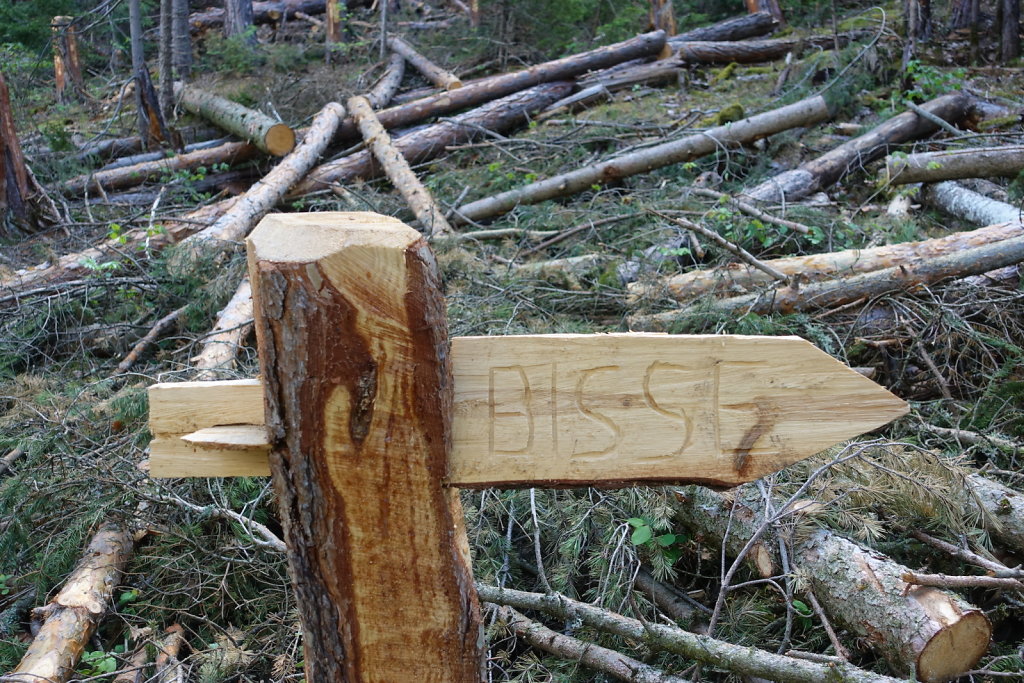 Les Planisses, Bisse du Sillonin, Icogne, Lens, Christ-Roi, Grand Bisse de Lens, Chelin, Bisse du Sillonin