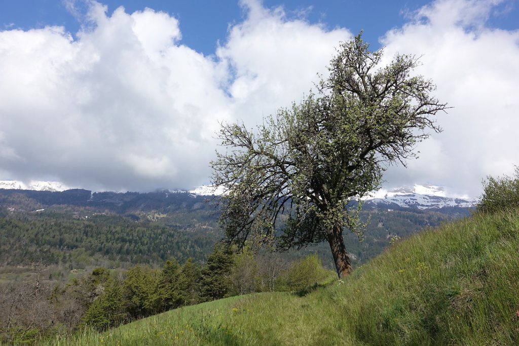 Les Planisses, Bisse du Sillonin, Icogne, Lens, Christ-Roi, Grand Bisse de Lens, Chelin, Bisse du Sillonin