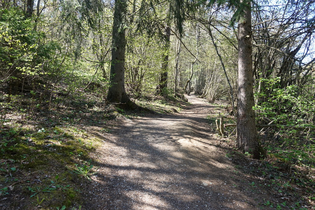 Les Planisses, Bisse du Sillonin, Icogne, Lens, Christ-Roi, Grand Bisse de Lens, Chelin, Bisse du Sillonin (03.05.2021)