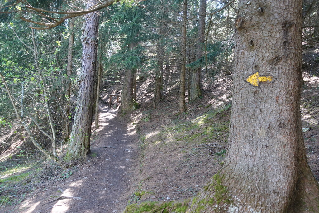 Les Planisses, Bisse du Sillonin, Icogne, Lens, Christ-Roi, Grand Bisse de Lens, Chelin, Bisse du Sillonin (03.05.2021)