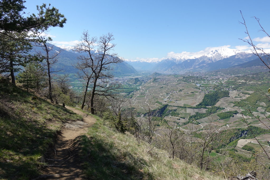 Les Planisses, Bisse du Sillonin, Icogne, Lens, Christ-Roi, Grand Bisse de Lens, Chelin, Bisse du Sillonin (03.05.2021)