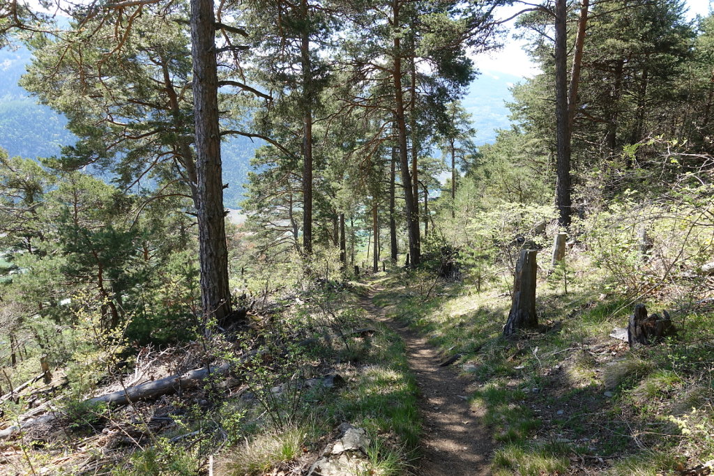 Les Planisses, Bisse du Sillonin, Icogne, Lens, Christ-Roi, Grand Bisse de Lens, Chelin, Bisse du Sillonin (03.05.2021)