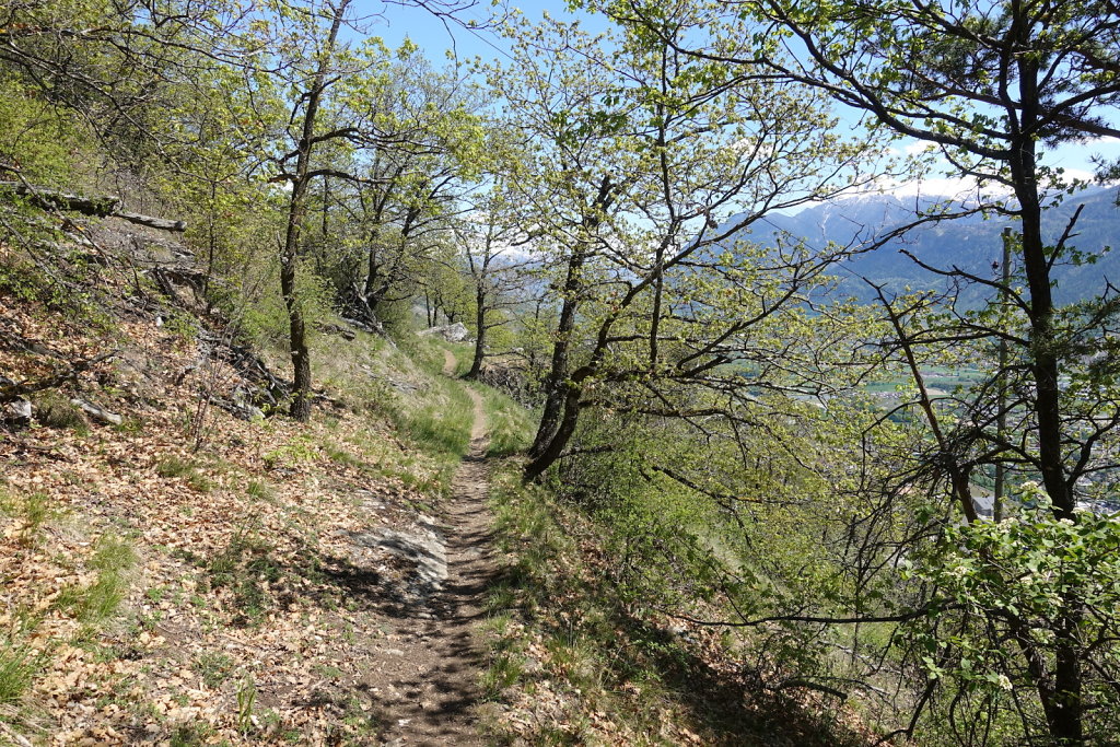 Les Planisses, Bisse du Sillonin, Icogne, Lens, Christ-Roi, Grand Bisse de Lens, Chelin, Bisse du Sillonin (03.05.2021)