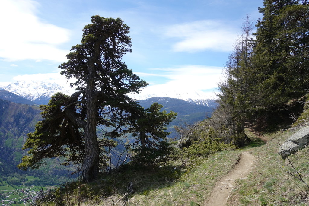 Eggerberg, Lalden, Gstein, Mund, Bobma, Finnu (08.05.2021)