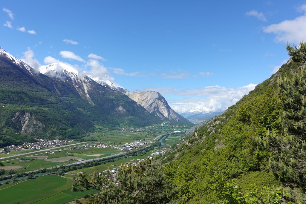 Gampel, Bratsch, Waldachra, Jeizinen (20.05.2021)