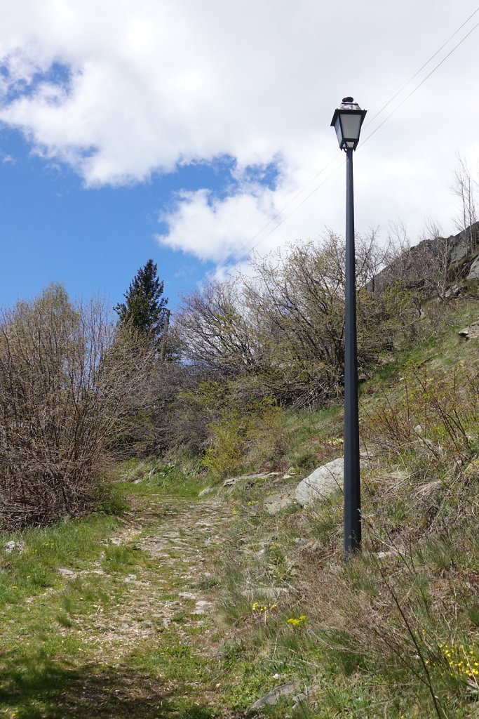 Gampel, Bratsch, Waldachra, Jeizinen (20.05.2021)