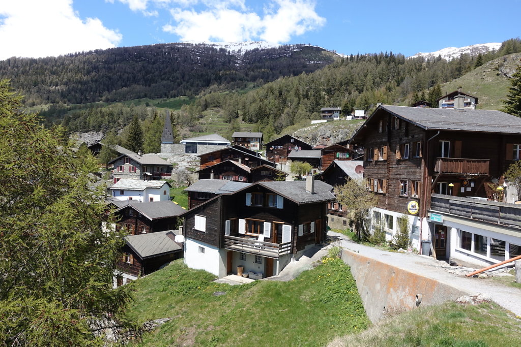 Gampel, Bratsch, Waldachra, Jeizinen (20.05.2021)