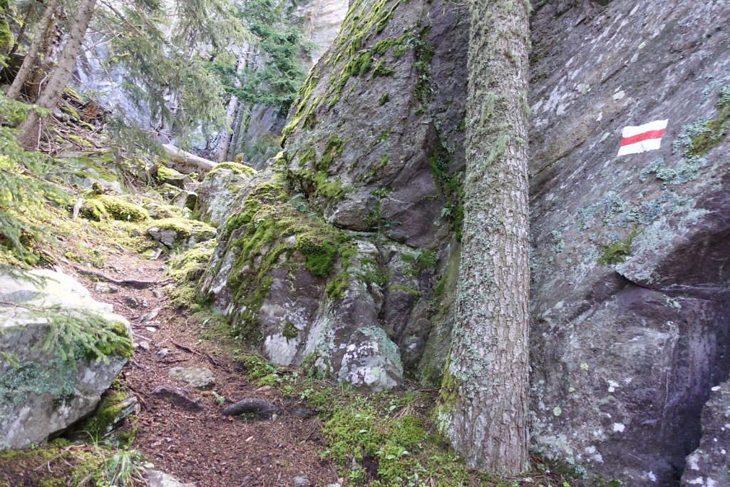 Champex d'Allesse, Plex, La Méreune, La Giette (06.06.2021)